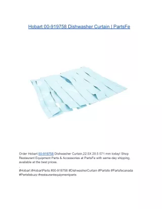 Hobart 00-919758 Dishwasher Curtain,22.5X 20.5 571 mm | PartsFe