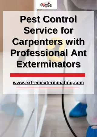 Pest Control Service for Carpenters with Professional Ant Exterminators