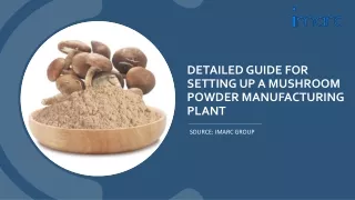 Mushroom Powder Manufacturing Plant Project Report Setup Cost