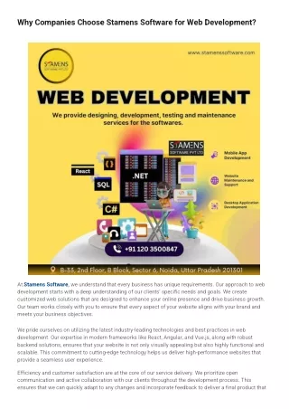 Why Companies Choose Stamens Software for Web Development?