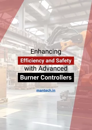 Burner Controllers