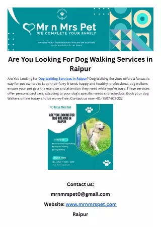 Are You Looking For Dog Walking Services in Raipur