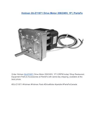 Holman 2U-Z11871 Drive Motor 208/240V, 1P 5.5RPM | PartsFe