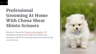 Professional Grooming At Home With Chona Shear Shinto Scissors