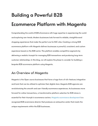 Building a Powerful B2B E commerce Platform with Magento