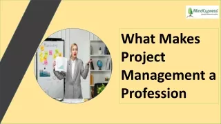 What Makes Project Management a Profession