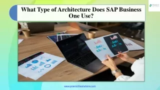 What Type of Architecture Does SAP Business One Use