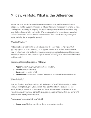 Mildew vs Mold: What is the Difference