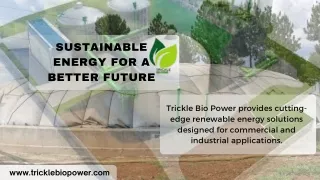 Sustainable Power for Commercial Success