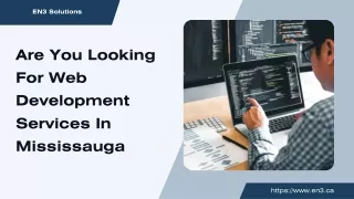 Are You Looking For Web Development Services In Mississauga