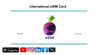 eSIMS