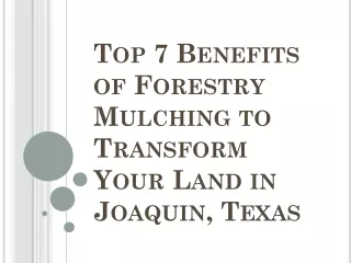 Top 7 Benefits of Forestry Mulching to Transform Your Land in Joaquin, Texas