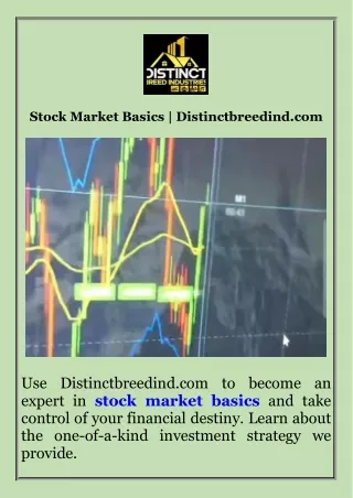 Stock Market Basics  Distinctbreedind.com
