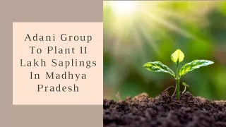 Adani Group To Plant 11 Lakh Saplings In Madhya Pradesh