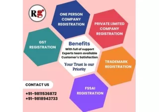 Online Company Registration Platform