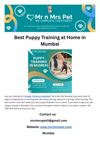 Best Puppy Training at Home in Mumbai