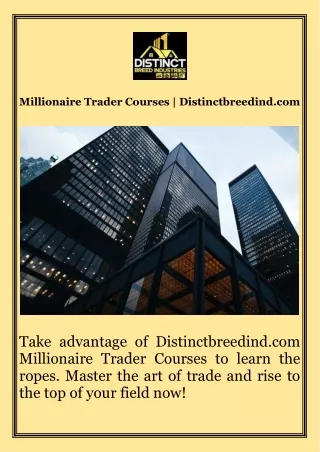 Millionaire Trader Courses  Distinctbreedind.com