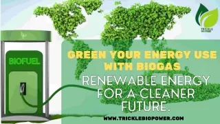 Sustainable and Clean Energy with Biogas