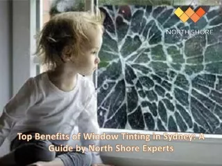 Top Benefits of Window Tinting in Sydney - A Guide by North Shore Experts