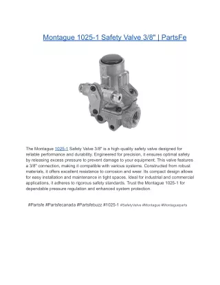 Montague 1025-1 Safety Valve 3_8_ _ PartsFe