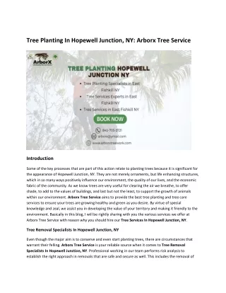 Tree Planting In Hopewell Junction