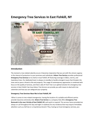 Emergency Tree Services in East Fishkill
