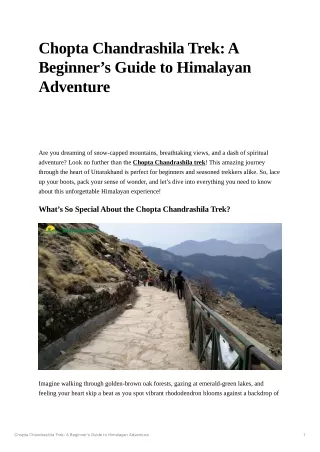 Chopta Chandrashila Trek: A Beginner’s Guide to Himalayan Adventure