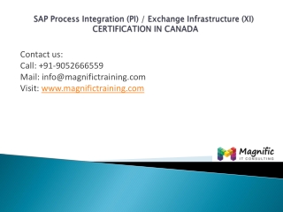 sap pi xi placements training in canada@magnifictraining.com
