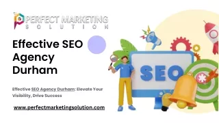 Effective SEO Agency Durham