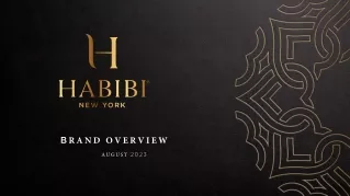 HABIBI NEW YORK BRAND OVERVIEW