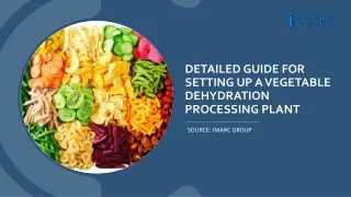 Vegetable Dehydration Processing Plant Setup Report