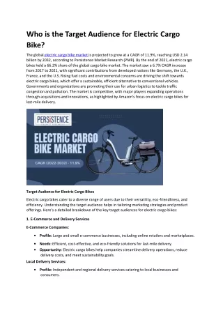 Who is the Target Audience for Electric Cargo Bike?