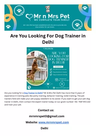 Are You Looking For Dog Trainer in Delhi