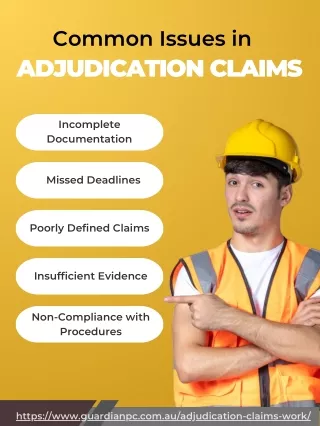 Common Issues in Adjudication Claims