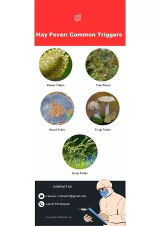 Hay Fever Common Triggers