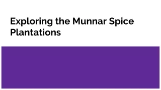 Exploring the Munnar Spice Plantations