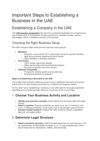 Important Steps to Establishing a Business in the UAE