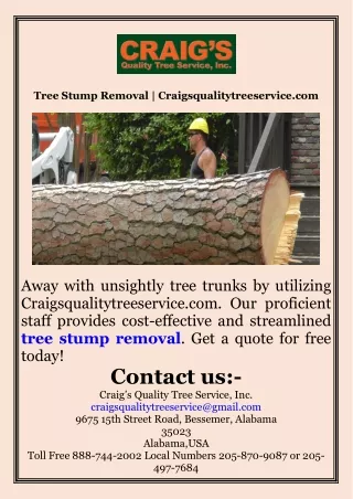 Tree Stump Removal  Craigsqualitytreeservice.com