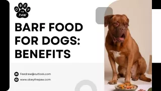 Obey The Paw: Top Benefits of BARF Food for Dogs