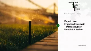 Expert Lawn Irrigation Systems in Toronto | Hunter, Rainbird & Rachio