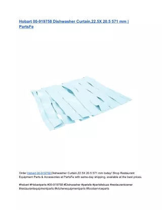 Hobart 00-919758 Dishwasher Curtain,22.5X 20.5 571 mm | PartsFe