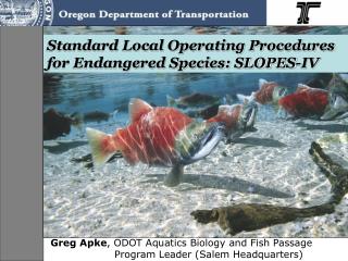 Standard Local Operating Procedures for Endangered Species: SLOPES-IV