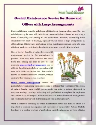 Orchid Maintenance Service for Home and Offices with Large Arrangements