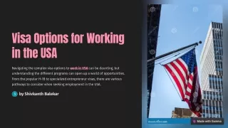 Pathways to Employment: How to Obtain a US Work Visa