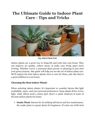 The Ultimate Guide to Indoor Plant Care - Tips and Tricks