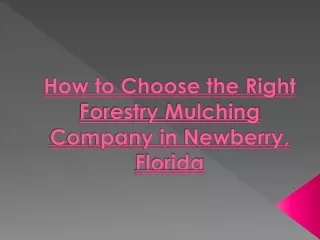 How to Choose the Right Forestry Mulching Company in Newberry, Florida