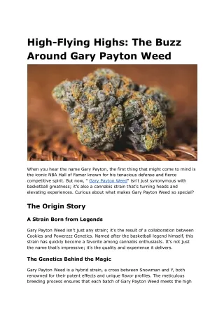 High-Flying Highs_ The Buzz Around Gary Payton Weed