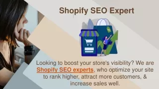 Shopify SEO Expert