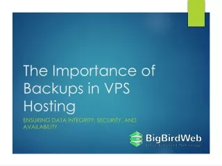 The Importance of Backups in VPS Hosting