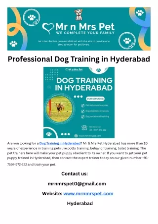 Professional Dog Training in Hyderabad